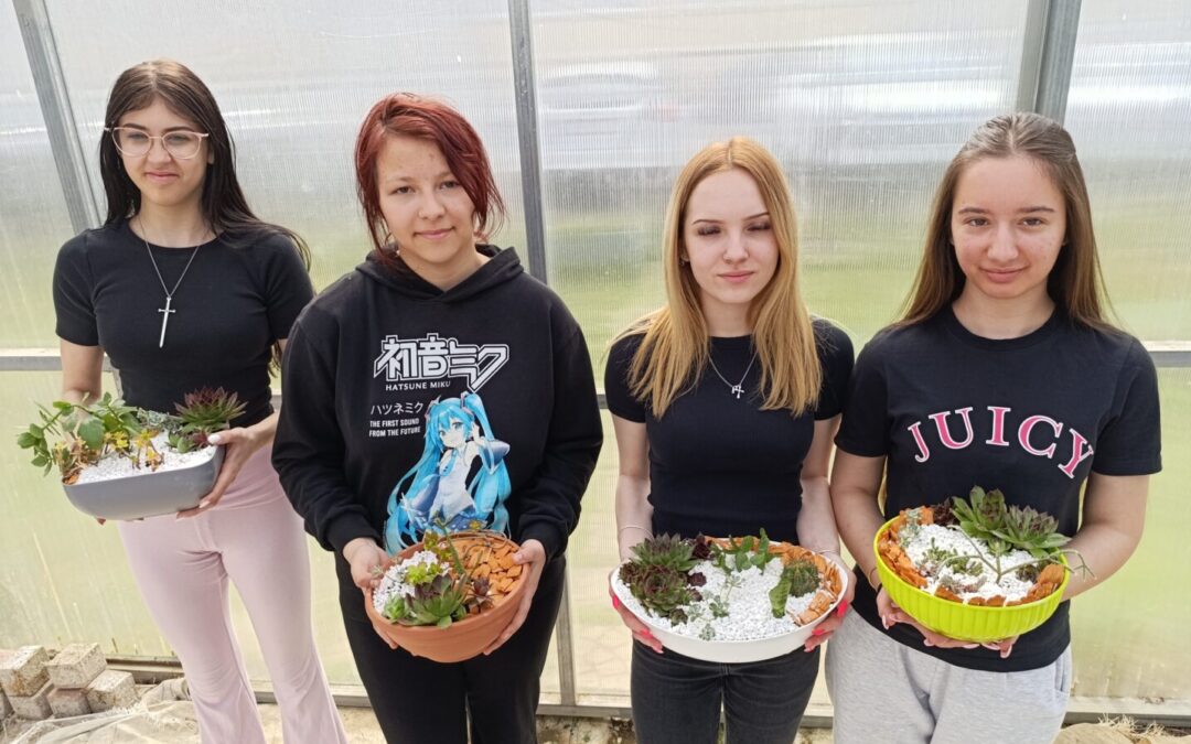 Sobni vrtovi s kaktusima i sukulentima