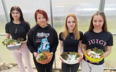 Sobni vrtovi s kaktusima i sukulentima