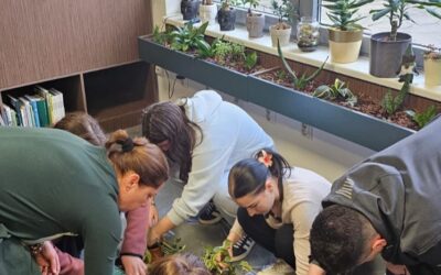 Modularna nastava cvjećara u Zelenoj čitaonici