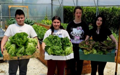 Nastava temeljena na radu iz modula Agrobotanika i briga za zajednicu